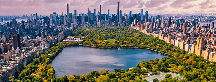 Aerial view showcasing Central Park for exploring NYC skyline.
